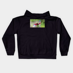 Hoverfly on a Flower Kids Hoodie